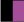 nero/fucsia